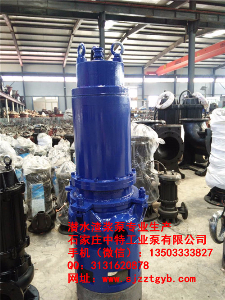 100ZJQ4寸防爆電機(jī)潛水渣漿泵 100ZJQ4寸防爆電機(jī)潛水渣漿泵