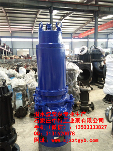ZJQ-100RV潛水耐磨吸沙泵 ZJQ-100RV潛水耐磨吸沙泵